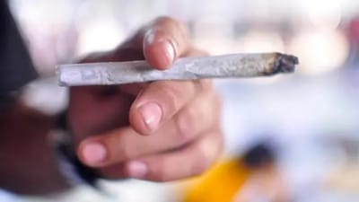 STF Descriminaliza Porte de Maconha: Decisão Histórica Divide Opiniões no Brasil — 62