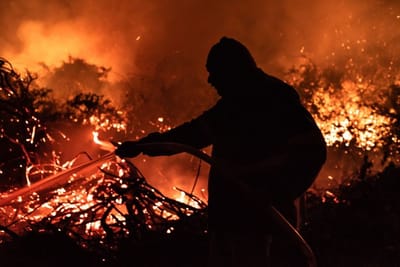 Uma vasta área do Pantanal coberta por fumaça e chamas, com árvores e vegetação queimadas. — 28