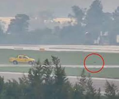 Cachorro Invade Pista do Aeroporto de Guarulhos e Atrasa Voos — 175