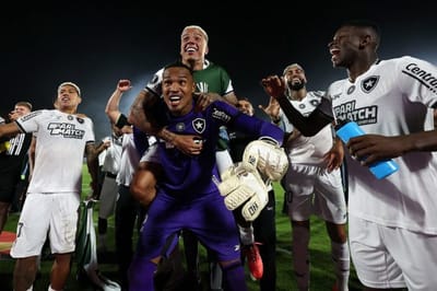 Botafogo na Final da Libertadores: Uma Conquista Histórica! — 19