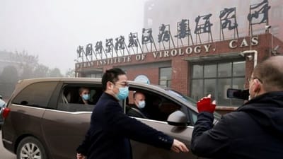 Descoberta do Novo Coronavírus HKU5-CoV-2 na China: OMS Faz Alerta sobre Vigilância em 20/02/2025 — 531