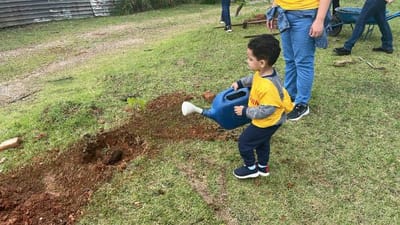 Guarulhos planta 300 árvores nativas em área degradada de Cumbica - 29/03 — 519