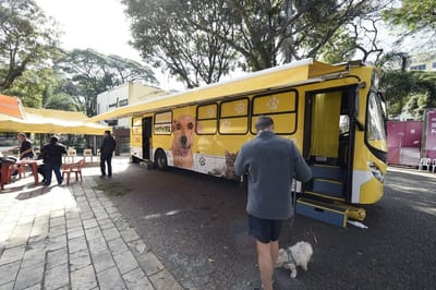 Parceria entre Prefeitura e ONG disponibiliza atendimento veterinário gratuito na Praça Getúlio Vargas — 505
