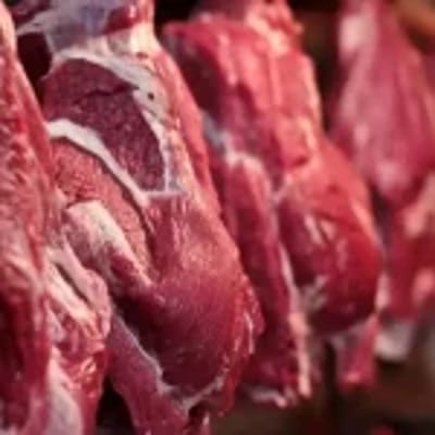 Exportação de Carne Bovina Bate Recorde de 313 Mil Toneladas em Julho — exportacao de carne bovina