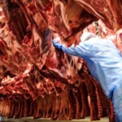 Exportação de Carne Bovina Bate Recorde de 313 Mil Toneladas em Julho — exportacao de carne bovina