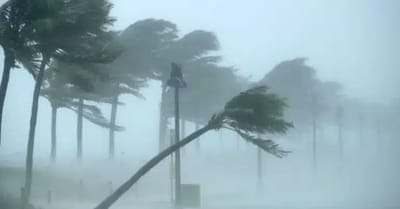 Ciclone Extratropical Gera Alerta de Chuva e Vento para São Paulo e Guarulhos — 28