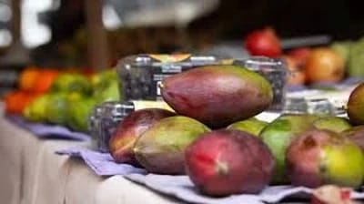 Governo Federal Comprará Alimentos Perecíveis que Iam para Exportação — governo federal comprara alimentos pereciveis que