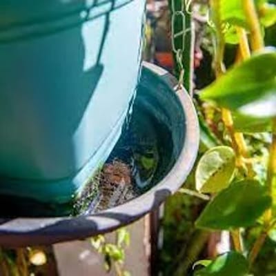 Ações Contra a Dengue Chegam a 39 Bairros de Guarulhos — acoes contra a dengue chegam a
