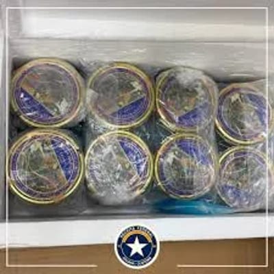 Anvisa Proíbe Venda de 32 Suplementos de Empresa de Produtos Naturais — 488