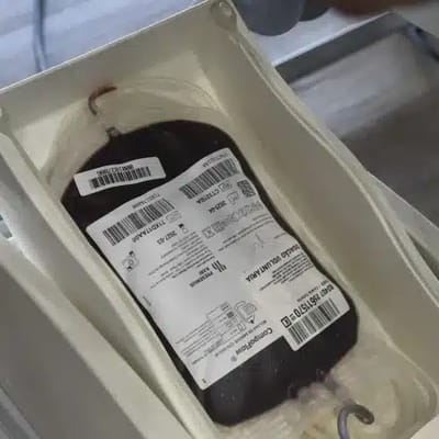 Campanha de Doação de Sangue em Guarulhos Supera Meta e Salva Centenas de Vidas — campanha de doacao de sangue em