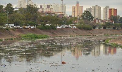 Rio Tietê Continua Vulnerável Apesar de Redução na Poluição, Aponta Estudo — rio tiete continua vulneravel apesar de