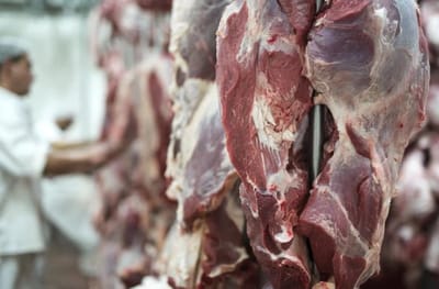 Exportações de Alimentos Caem em Agosto Devido a Tarifaço dos EUA; Açúcar e Proteína São os Mais Afetados — 26
