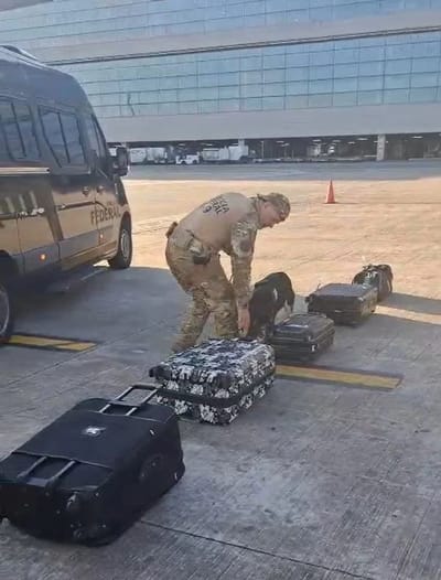 PF Prende Seis Pessoas no Aeroporto de Guarulhos em Operações Distintas — 482