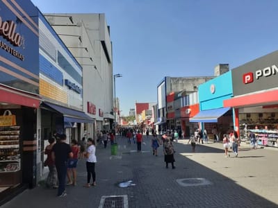 Calçadão da Dom Pedro II e Bosque Maia: Estratégias para Revitalizar o Comércio Local e a Cultura Guarulhense — 476