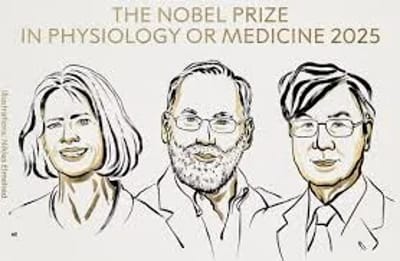 Nobel de Medicina 2025 Vai para Cientistas Americanos e Japonês