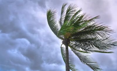 Ciclone Provoca Ventos Acima de 100 km/h e Atinge Vários Estados; Alerta para Guarulhos e São Paulo