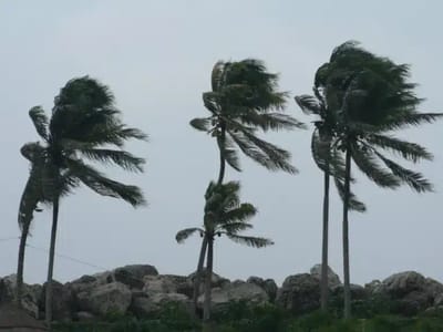 Ciclone Provoca Ventos Acima de 100 km/h e Atinge Vários Estados; Alerta para Guarulhos e São Paulo — 27