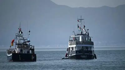 Brasileiros da Flotilha Global Sumud Chegam ao País Após Interceptação e Prisão em Israel — 24