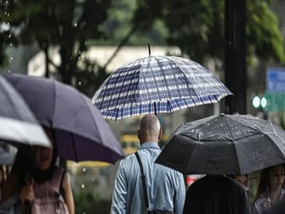 Frente Fria Chega a São Paulo com Chuvas Fortes e Ventos Acima de 60km/h; Defesa Civil Emite Alerta para Guarulhos — 472