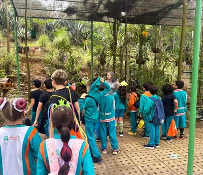 Estudantes de Guarulhos Mergulham em Passeio Educativo Sobre Mudanças Climáticas e Sustentabilidade no Bosque Maia