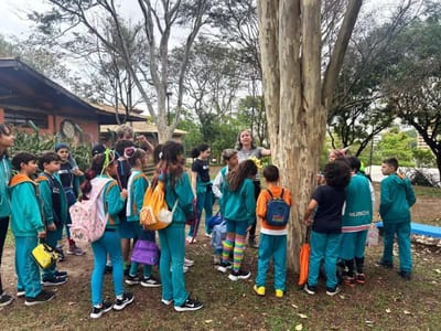 Estudantes de Guarulhos Mergulham em Passeio Educativo Sobre Mudanças Climáticas e Sustentabilidade no Bosque Maia — 471
