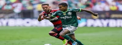 Final Brasileira na Libertadores: Flamengo e Palmeiras Disputam o 7º Clássico Nacional pelo Título — 8