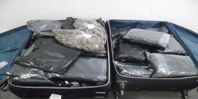 PF captura foragido e apreende mais de 20 kg de drogas no aeroporto de Guarulhos — 463