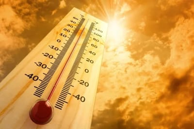 Fim de Semana de Calor Extremo em Guarulhos: Máxima de 34ºC e Alerta de Umidade Baixa — 461