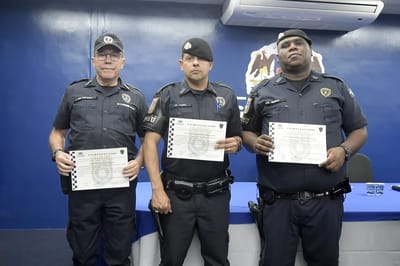 Dossiê Exclusivo: Analisamos 5 Anos de Dados da SSP-SP e GCM para Entender a Queda de Roubos em Guarulhos — dossie exclusivo analisamos