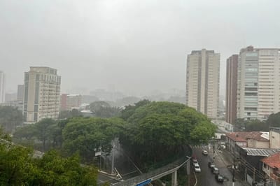 Alerta em SP: Chuva Volumosa e Ventos de até 100 km/h Causam Virada Radical no Tempo — alerta em sp chuva volumosa