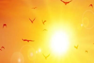 Onda de Calor Histórica: SP e Guarulhos Batem Recordes no Natal de 2025 — onda de calor historica