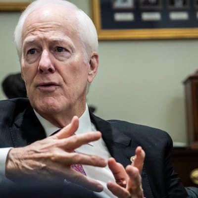 after senate loss cornyn predicts miserable final two years for trump 1781278315129 — 60