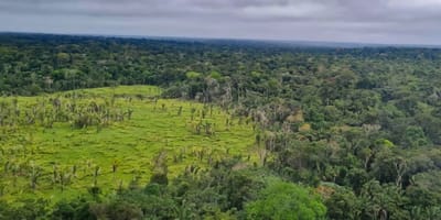 desmatamento-zero-em-60-das-terras-indigenas-da-amazonia — 46