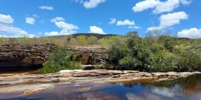 pantanal-mudancas-climaticas-afetam-bioma-devido-a-influencia-de-outros-ecossist — 45