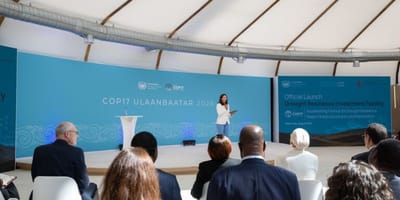 cop17-da-desertificacao-frustra-ao-adiar-acordo-global-contra-secas — 16