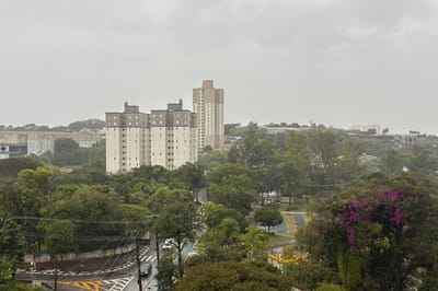 guarulhos-tera-terca-feira-de-chuva-trovoadas-e-queda-de-temperatura — 15