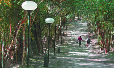 parques-estaduais-oferecem-programacao-gratuita-no-feriado-de-7-de-setembro