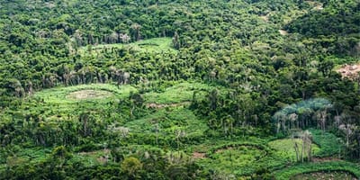especialistas-defendem-protagonismo-indigena-na-restauracao-de-terras-na-amazoni — 8