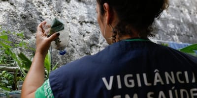 sao-paulo-registra-mais-de-58-mil-casos-de-dengue-em-2026 — 182