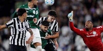 botafogo-empata-com-palmeiras-e-ajuda-flamengo-a-assumir-lideranca-do-brasileira — 6