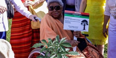 morre-zelia-amador-de-deus-referencia-da-luta-antirracista-no-para — 175