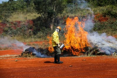 governo-de-sp-amplia-acoes-contra-incendios-e-pede-apoio-da-populacao — 5