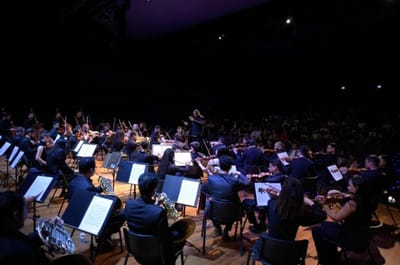 bosque-maia-recebe-mostra-especial-pelos-65-anos-do-conservatorio-municipal-de-a — 34