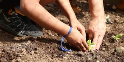 entidades-de-sao-paulo-pedem-apoio-de-candidatos-a-agroecologia — 45