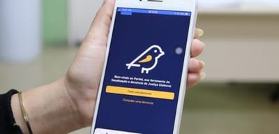 sp-ultrapassa-4-300-denuncias-de-propaganda-eleitoral-irregular-pelo-pardal — 150