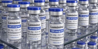 testes-clinicos-da-polilaminina-comecam-em-24-de-setembro — 3