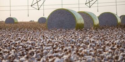 sorriso-perde-lideranca-na-producao-agricola-com-criacao-de-novo-municipio — 3