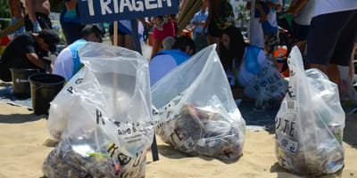 mutiroes-de-limpeza-em-praias-de-cinco-estados-em-setembro — 131