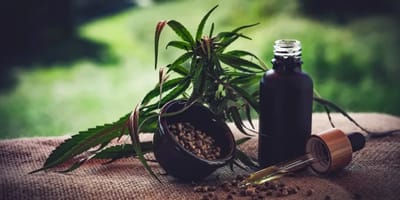 associacoes-de-cannabis-reclamam-de-incertezas-na-regulamentacao — 128