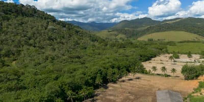 mata-atlantica-perde-quase-10-milhoes-de-hectares-de-vegetacao-madura-em-41-anos — 124